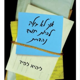 לא תמיד נהדרת-5